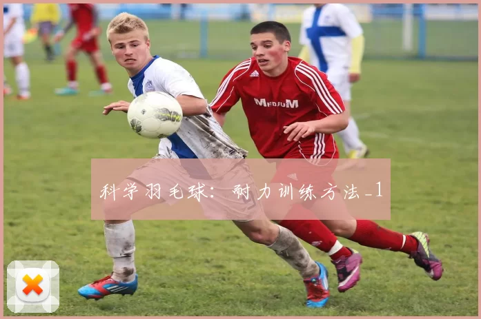 科学羽毛球：耐力训练方法_1