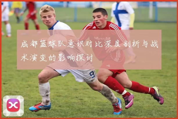 成都篮球队意识对比深度剖析与战术演变的影响探讨