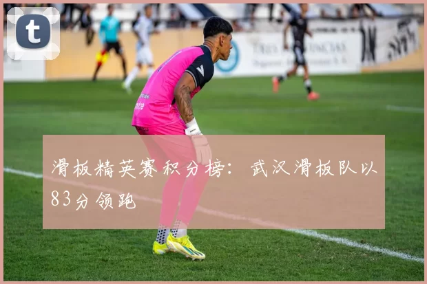 滑板精英赛积分榜：武汉滑板队以83分领跑