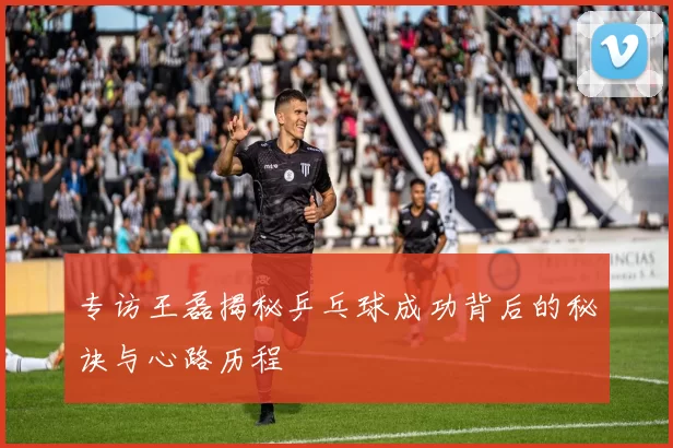 专访王磊揭秘乒乓球成功背后的秘诀与心路历程