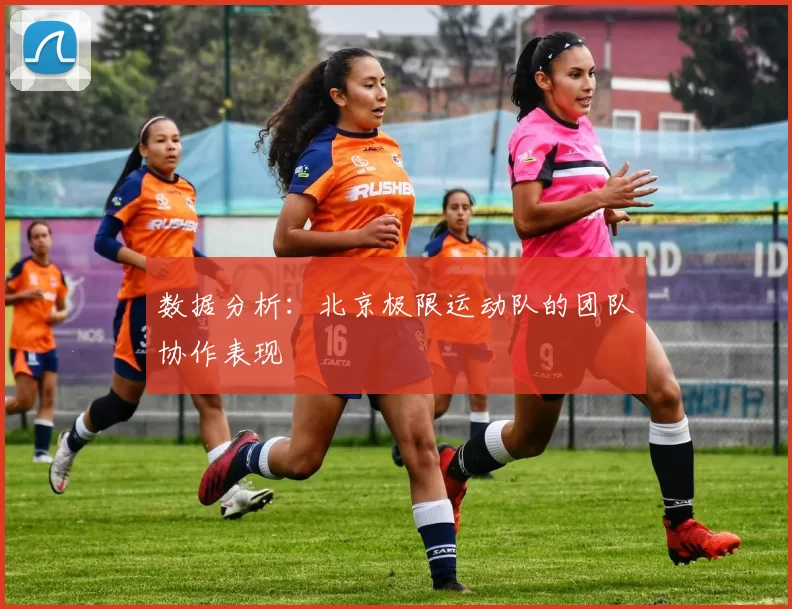 数据分析：北京极限运动队的团队协作表现