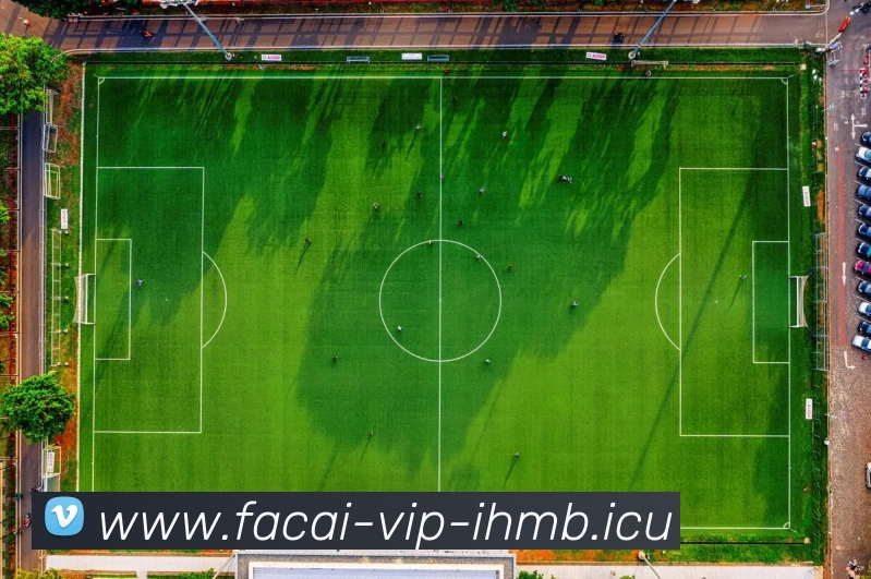 爱游戏体育平台生态图