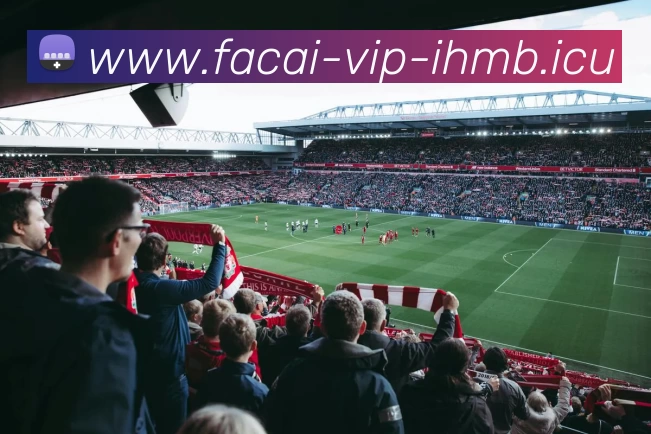 爱游戏体育APP 封面图